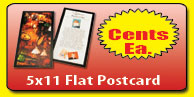 5x11 Flat PC Direct Mail